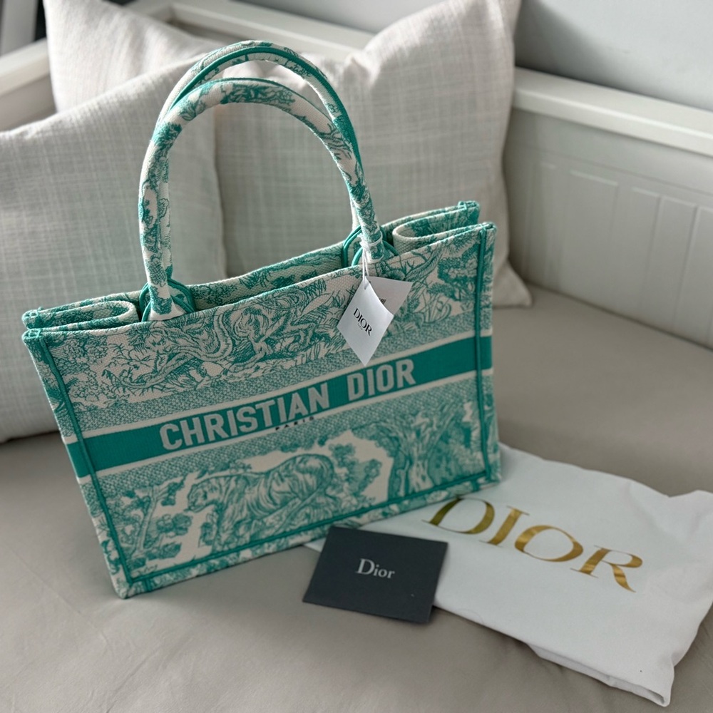 Dior Green Book Tote Bag with Embroidered Design